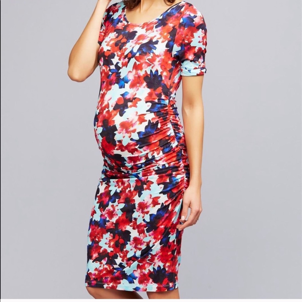 Isabella Oliver for A Pea in the Pod floral dress
